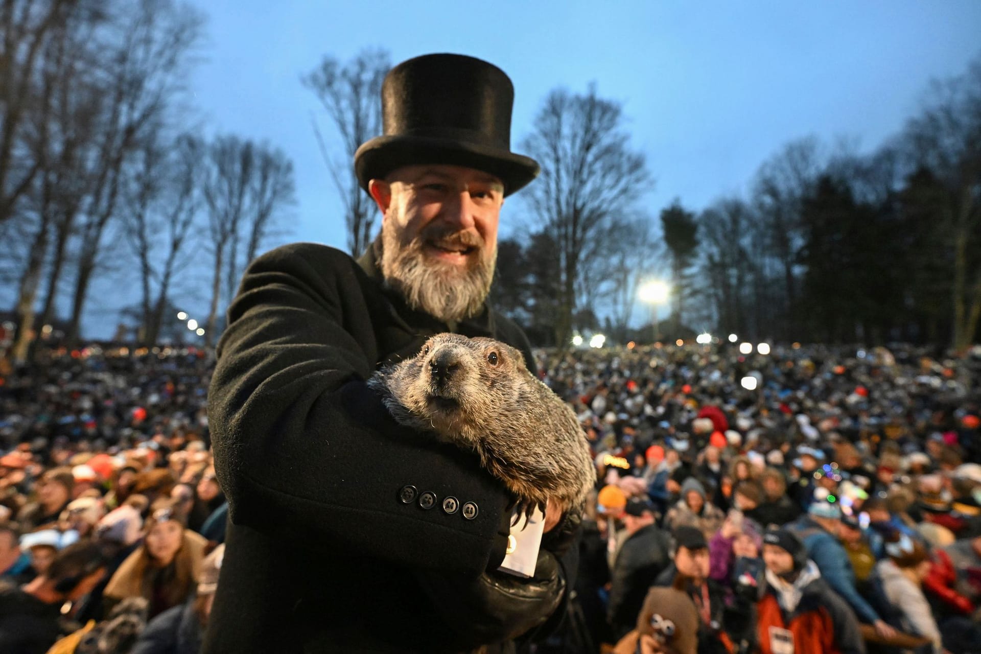 Punxsutawney Phil