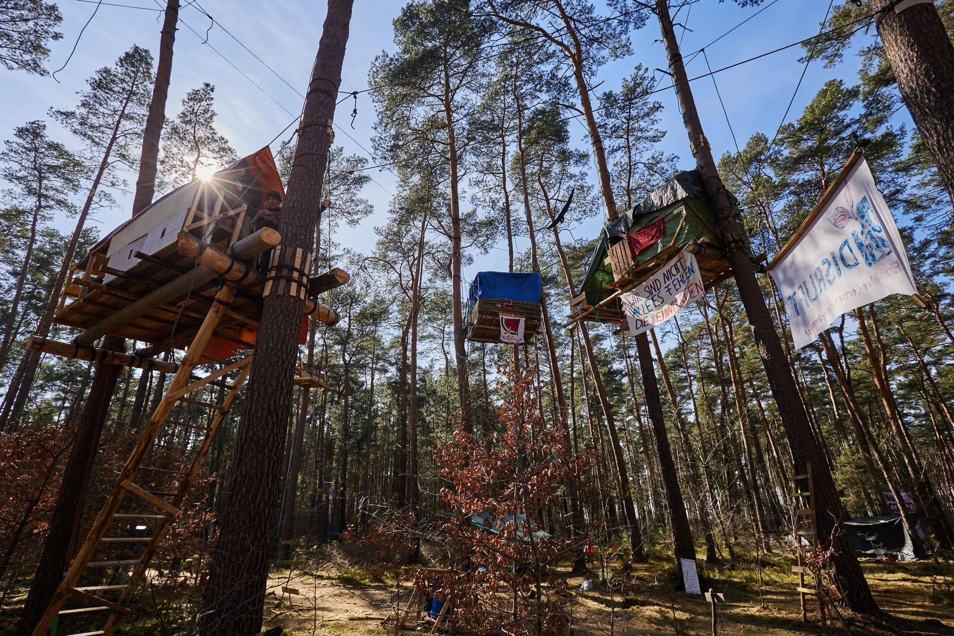 Blick ins Protest-Camp der Initiative "Tesla stoppen" in einem Kiefernwald nahe der Tesla-Gigafactory Berlin-Brandenburg: Ziel der Aktivisten ist es, eine Rodung des Waldstücks im Zuge einer geplanten Erweiterung des Tesla-Geländes mit Güterbahnhof zu verhindern.