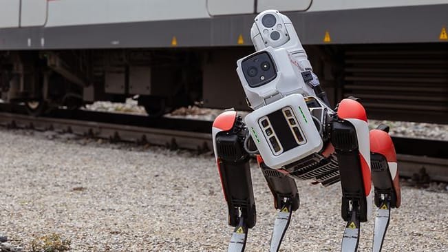 Roboterhund "Spot" soll S-Bahnen vor Graffiti und Vandalismus schützen.