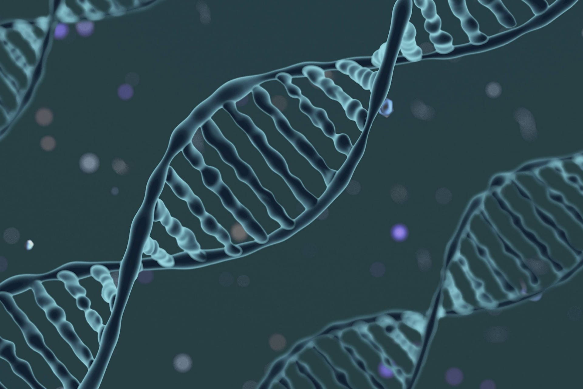 DNA (Symbolbild): Die Firma, die das falsche Ergebnis lieferte, war schon bei einem früheren Test dadurch aufgefallen, dass sie Informationen über die Rasse eines Hundes machte, ohne des DNA je getestet zu haben.