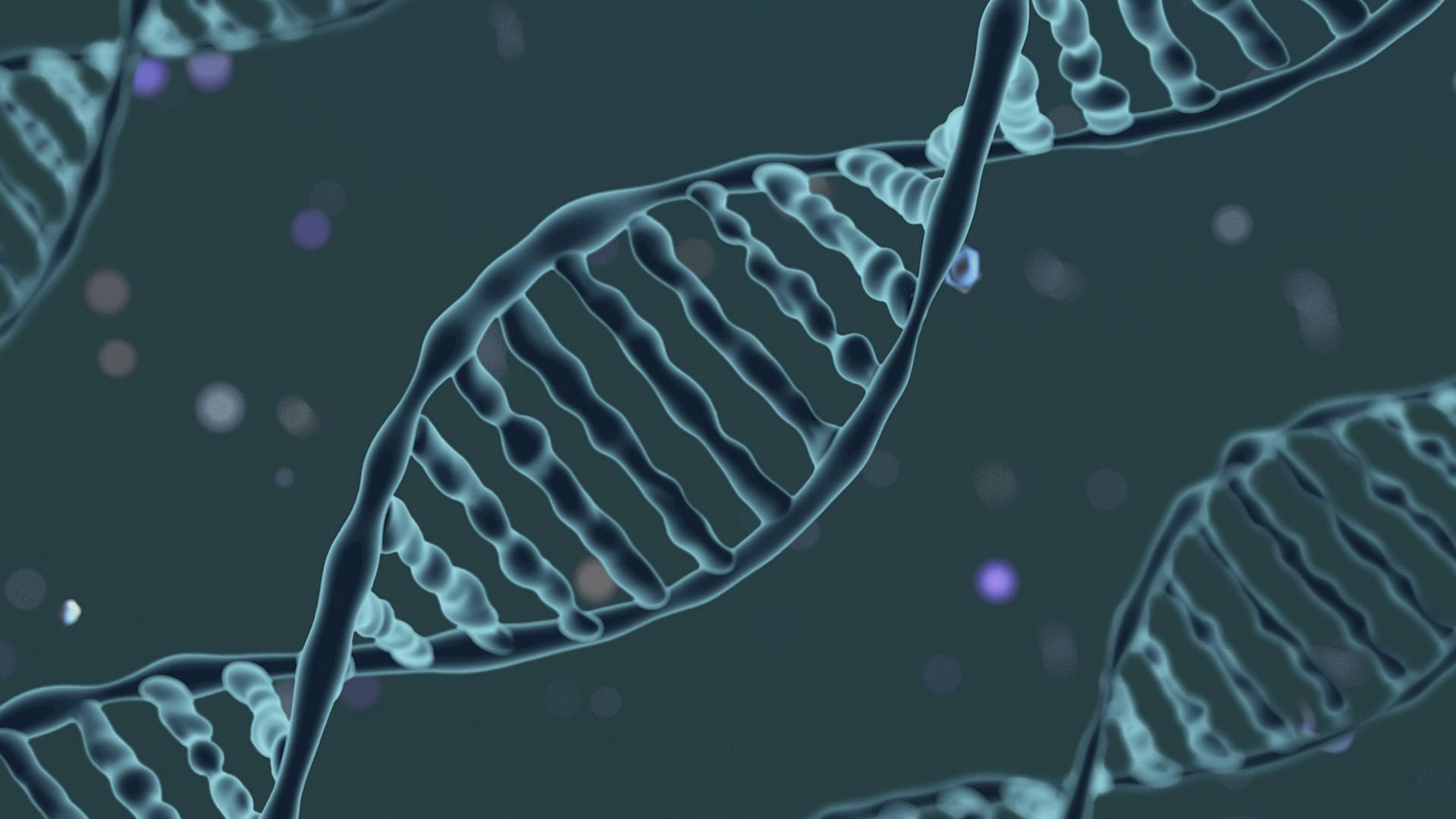 DNA (Symbolbild): Die Firma, die das falsche Ergebnis lieferte, war schon bei einem früheren Test dadurch aufgefallen, dass sie Informationen über die Rasse eines Hundes machte, ohne des DNA je getestet zu haben.