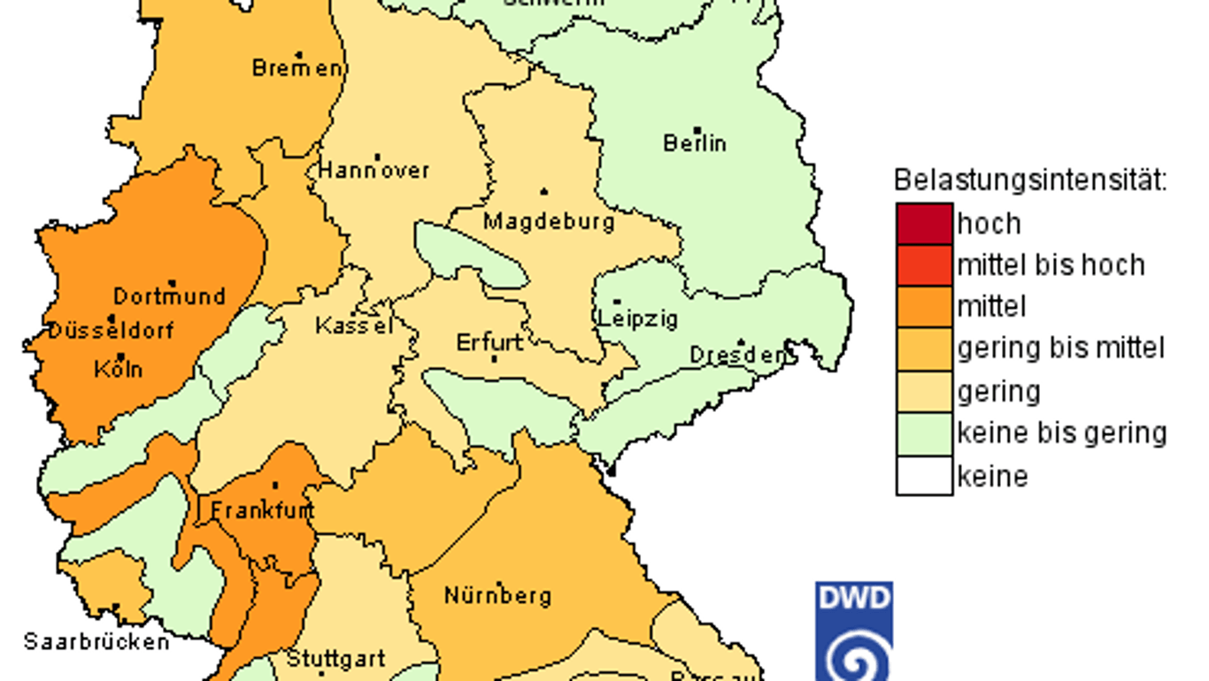 Esschenpollen in NRW: Der Deutsche Wetterdienst warnt derzeit vor einer mittleren Belastung.
