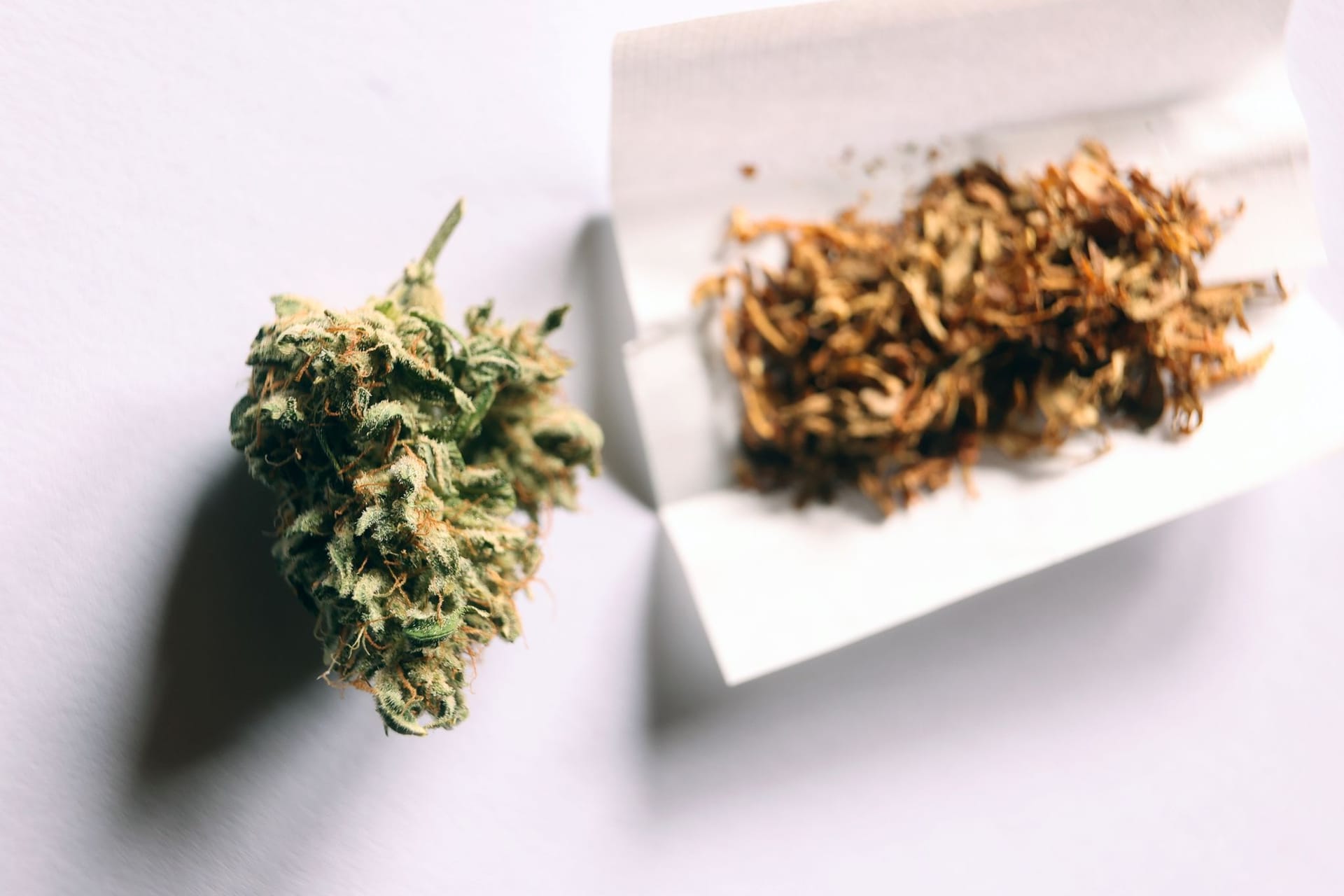Cannabis