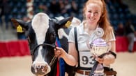 "Miss Ostfriesland": Pamela ist die schönste Kuh des Nordens