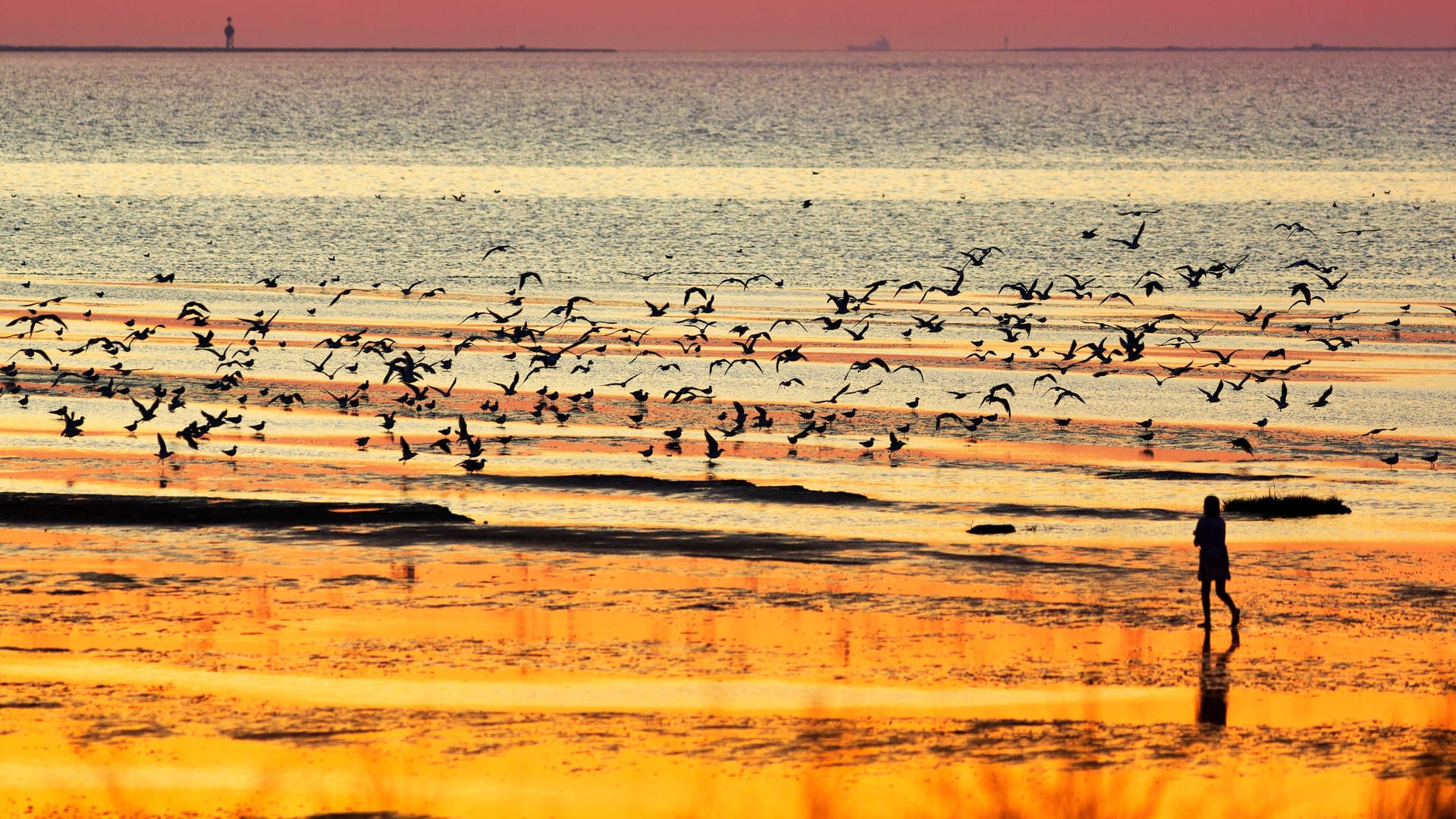 Sonnenuntergang über der Nordsee bei Cuxhaven (Archivfoto): Von der Stadt aus sind es nur wenige Minuten mit dem Auto und man erreicht zahlreiche verträumte Fischerdörfer.