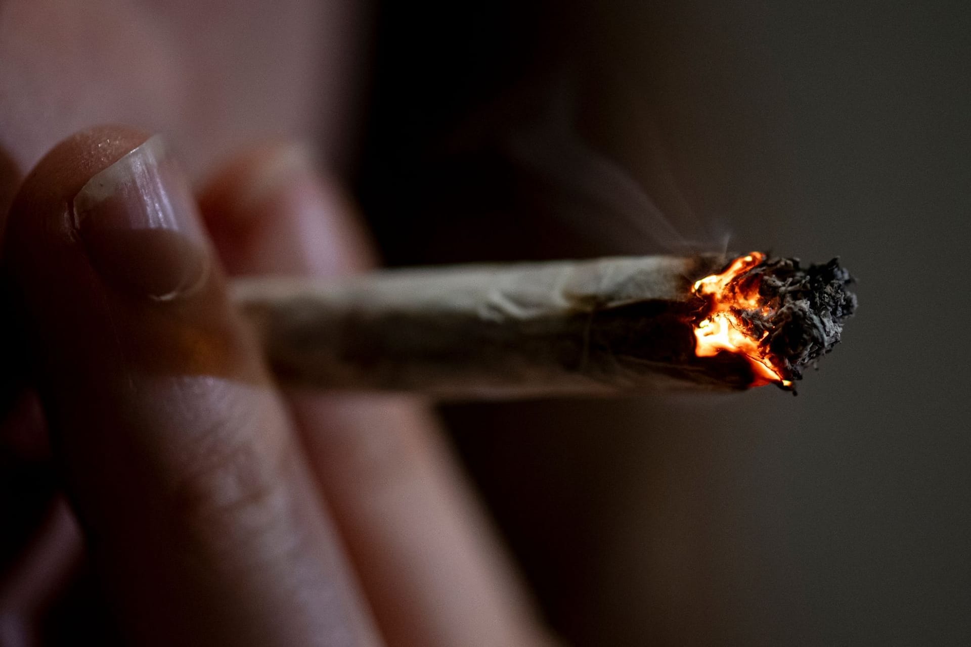 Cannabis