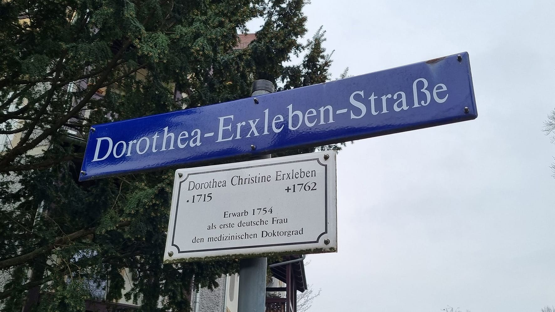 Die Dorothea-Erxleben-Straße in Trachau: Sie war die erste deutsche Frau, die 1754 ihren medizinischen Doktorgrad erhielt. Die Dorothea-Erxleben-Straße in Trachau: Sie war die erste deutsche Frau, die 1754 ihren medizinischen Doktorgrad erhielt.