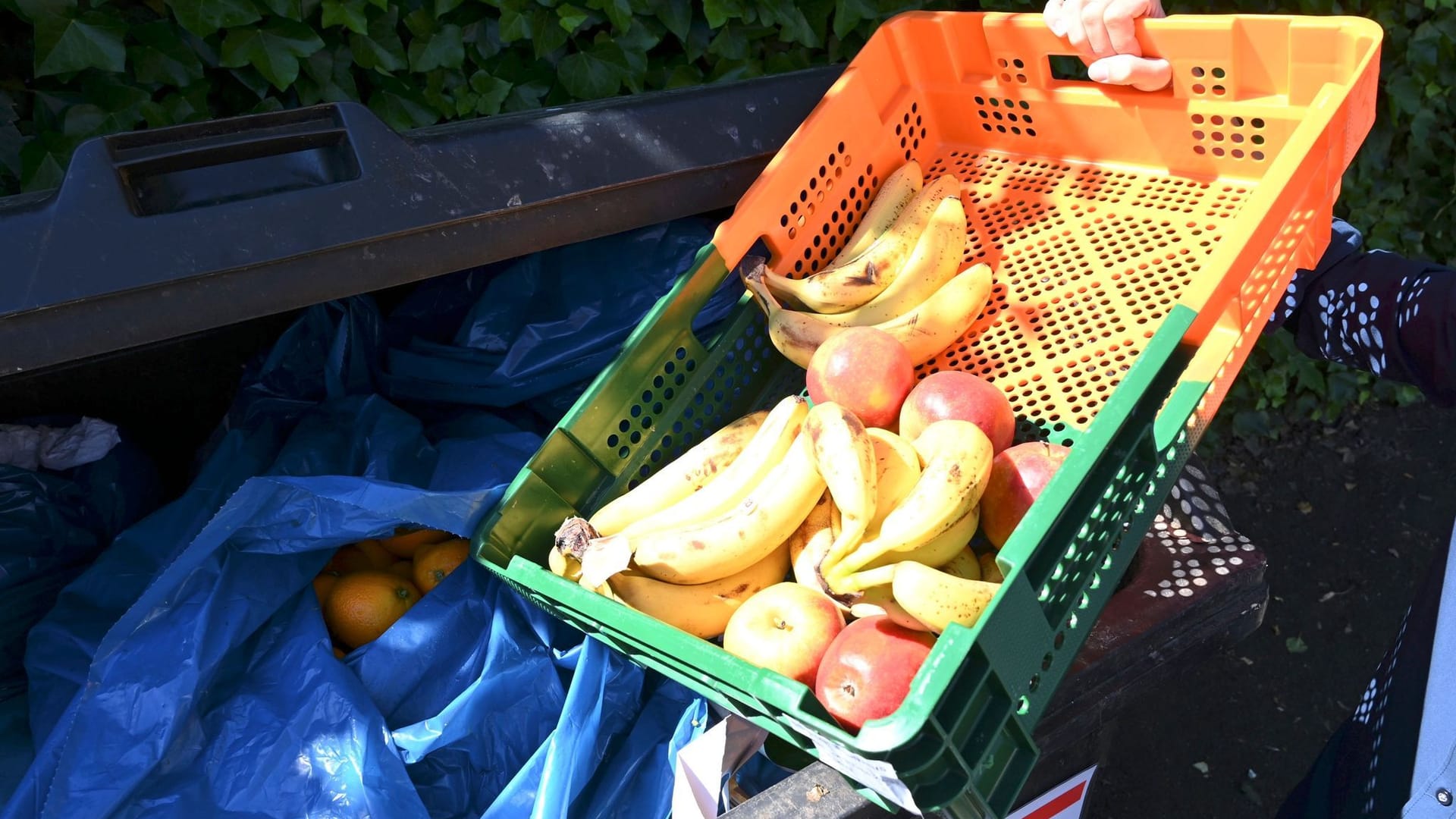 Lebensmittelverschwendung Lebensmittelverschwendung