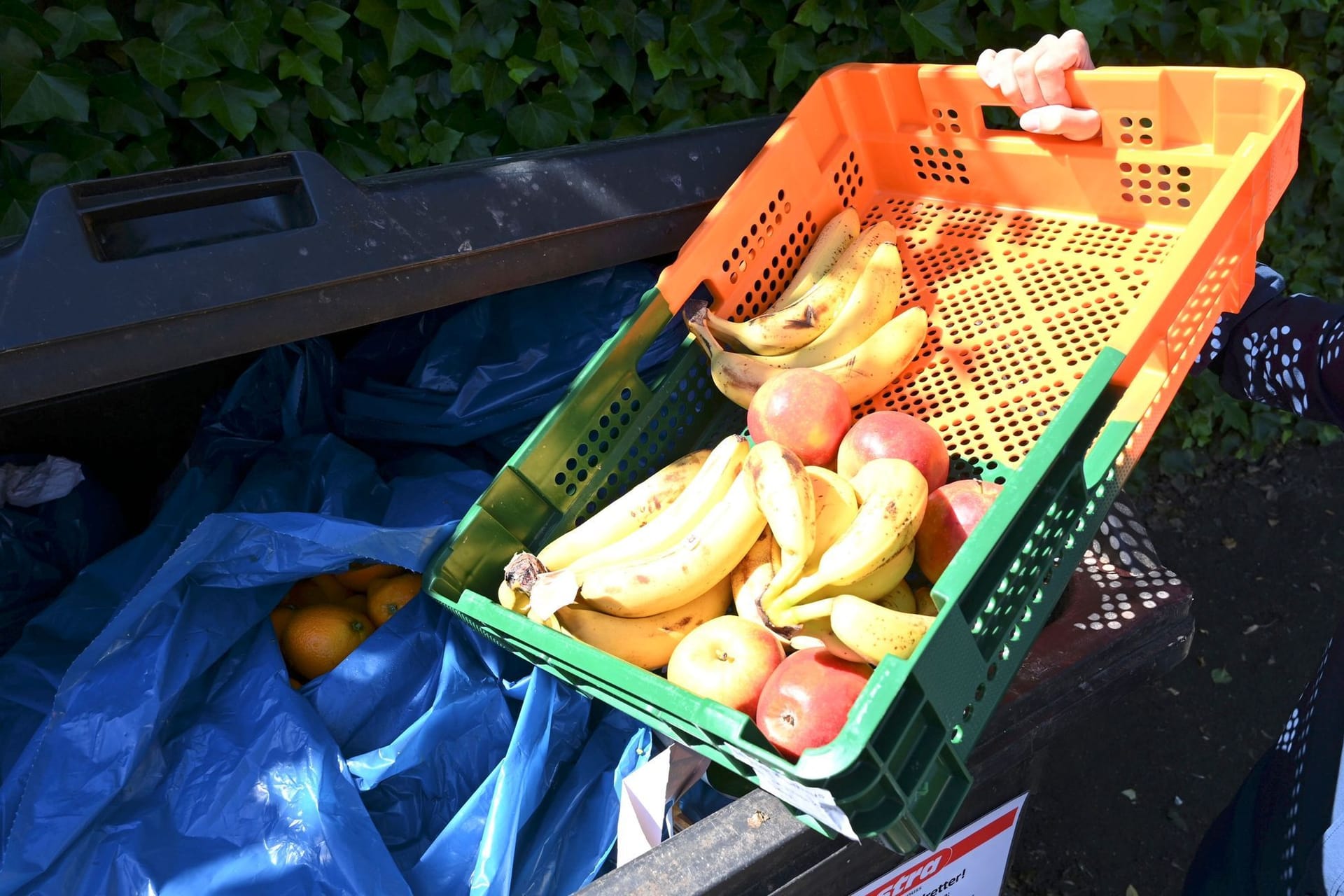 Lebensmittelverschwendung