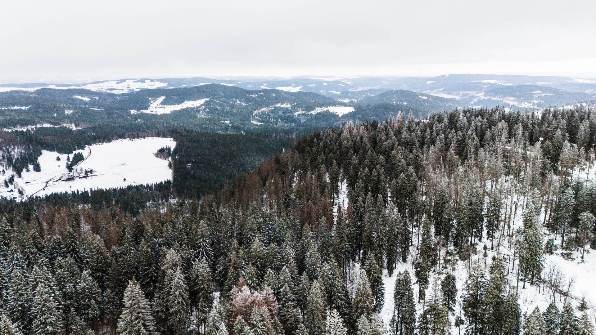 Wetter im Hochschwarzwald