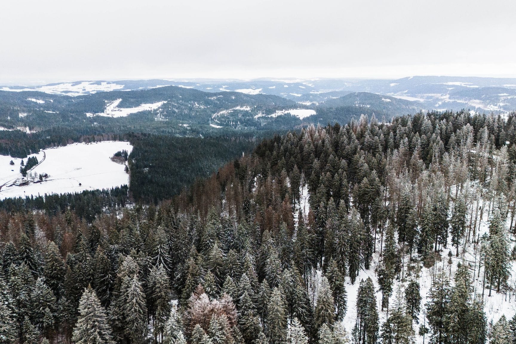 Wetter im Hochschwarzwald