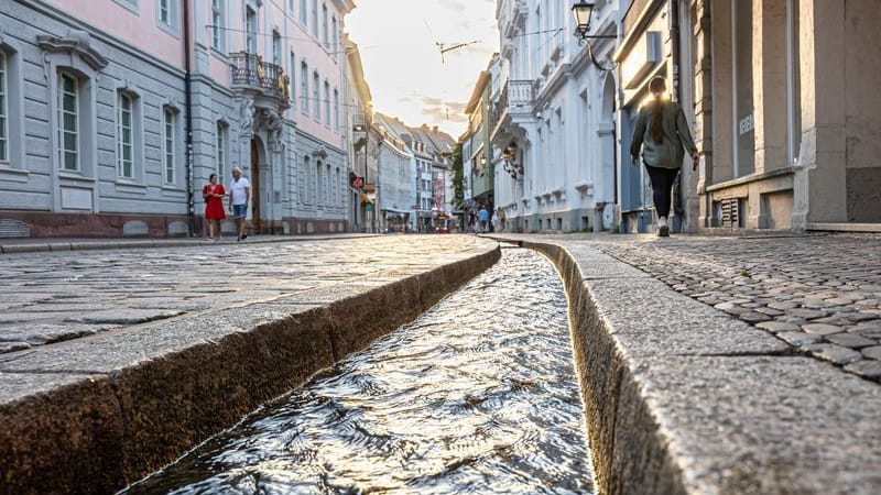 Plätscherndes Markenzeichen: Freiburgs Altstadt ist bekannt für ihre "Bächle".