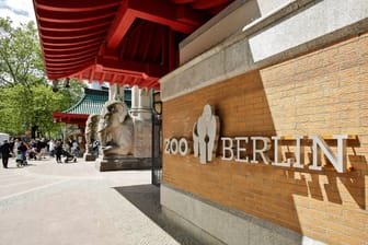 Der Eingang des Berliner Zoos (Archivbild): Dort sowie im Aquarium und im Tierpark gelten bald neue Eintrittspreise.