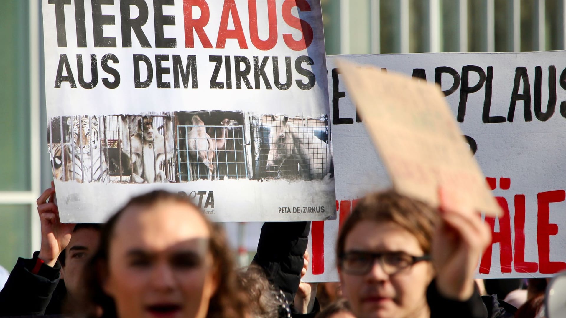 Unter dem Motto „Tiere raus aus dem Zirkus“ haben mehrere hundertMenschen am Samstag vor dem Circus Krone demonstriert. Demweltgrößten Zirkus werfen sie vor, Wildtiere zu Unterhaltungszweckenauszubeuten. Dagegen betont Circus-Krone-Dompteur Martin Lacey:„Unseren Tieren geht es sehr gut.“