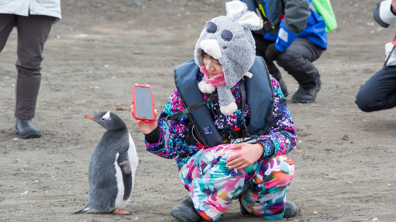 Chinesische Touristen in der Antarktis: Peking sieht sich selbst als Polarmacht.