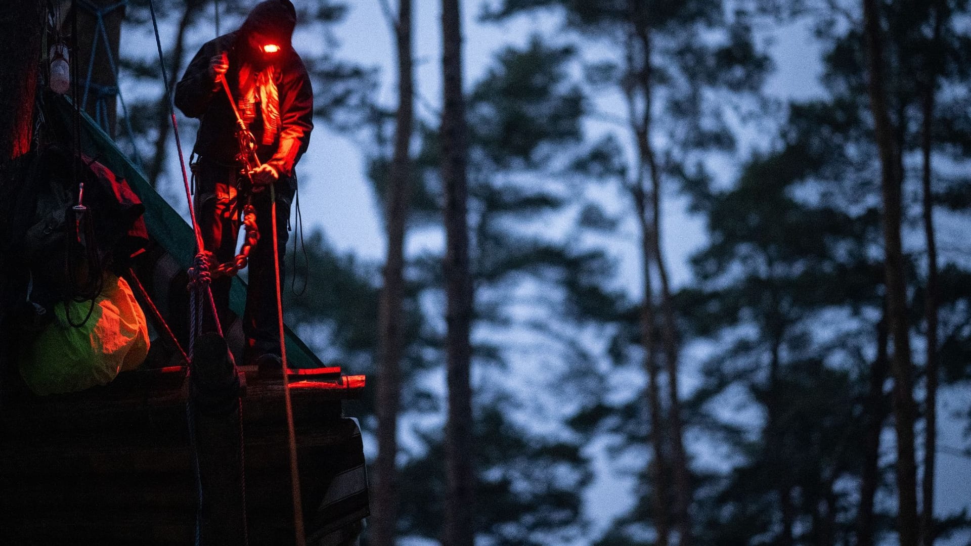 Aktivisten besetzen Waldstück bei Tesla-Werk in Grünheide