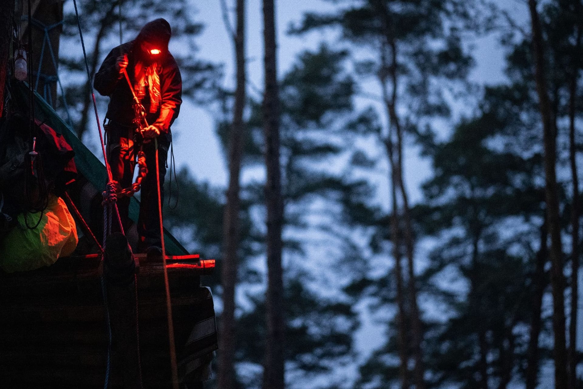 Aktivisten besetzen Waldstück bei Tesla-Werk in Grünheide