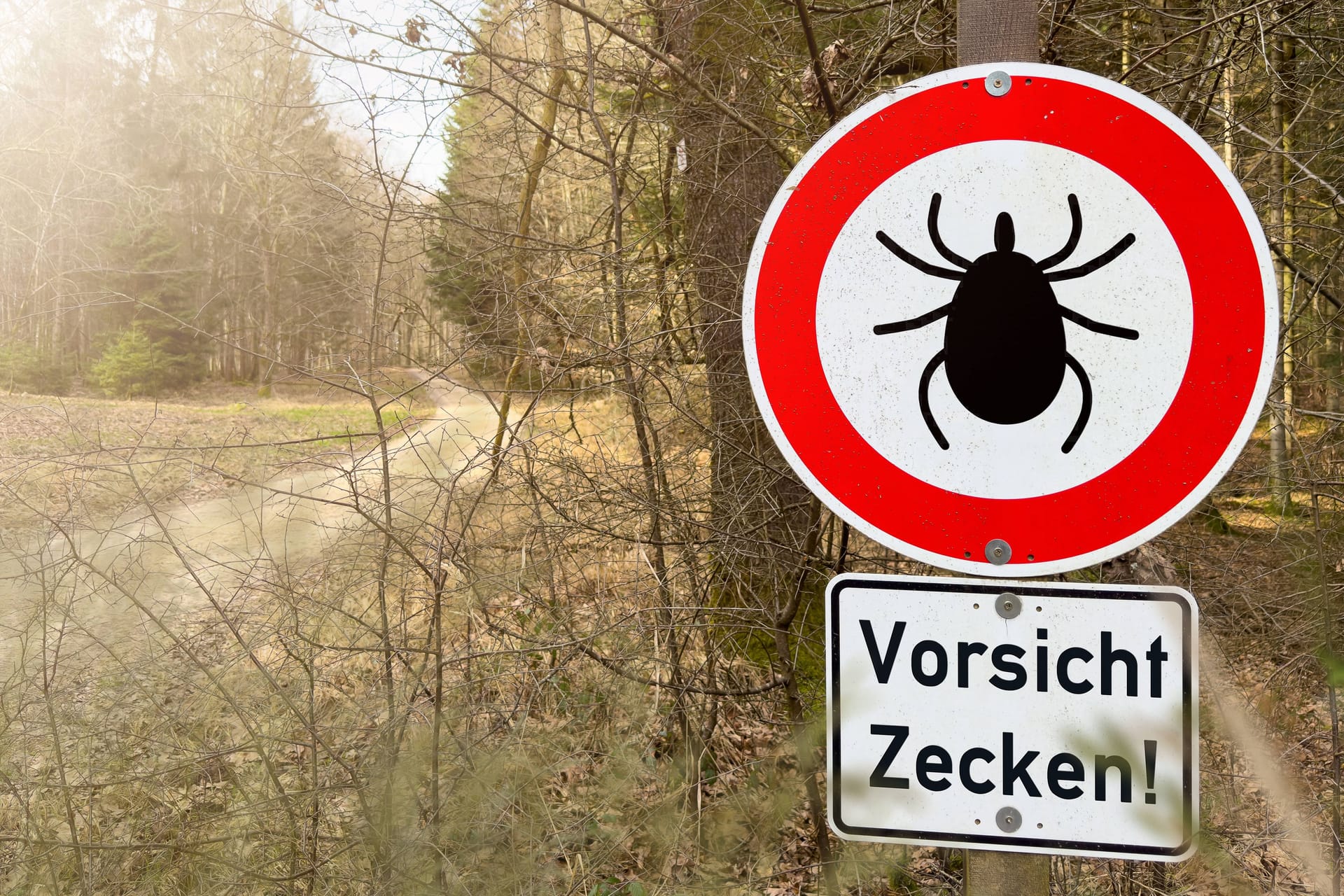 "Vorsicht Zecken!" steht auf einem Warnschild im Wald (Symbolbild): Höhere Temperaturen haben das Überleben des Parasiten auch im Winter ermöglicht.