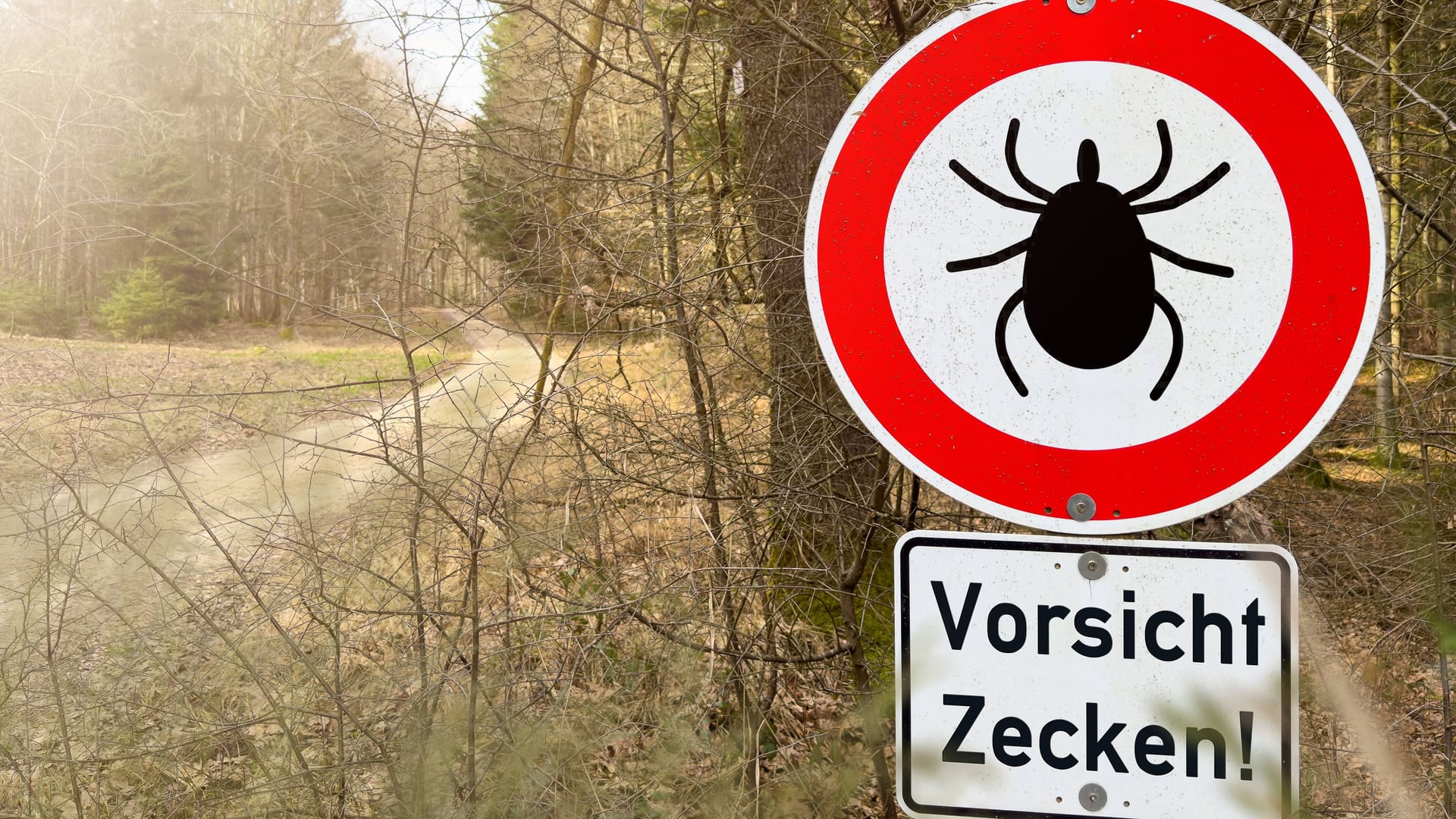 "Vorsicht Zecken!" steht auf einem Warnschild im Wald (Symbolbild): Höhere Temperaturen haben das Überleben des Parasiten auch im Winter ermöglicht.