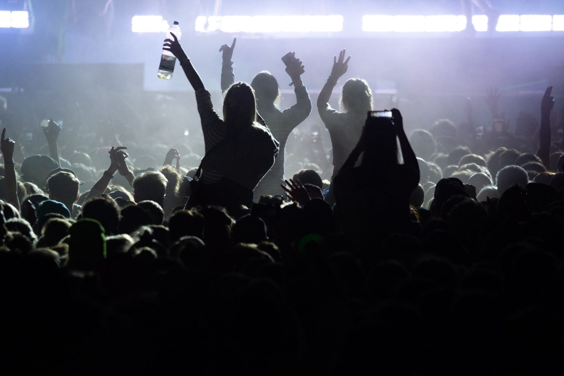 Publikum bei Konzert