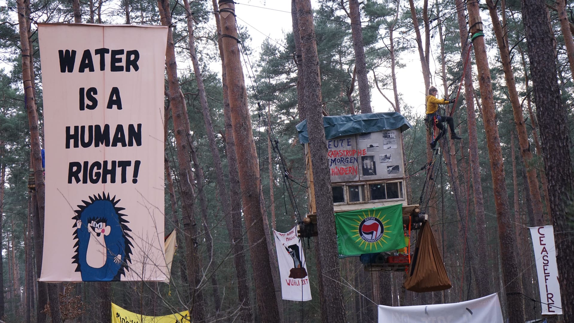 Waldbesetzung in Grünheide: Die Klimaaktivisten protestieren hier gegen den geplanten Ausbau der Teslafabrik.