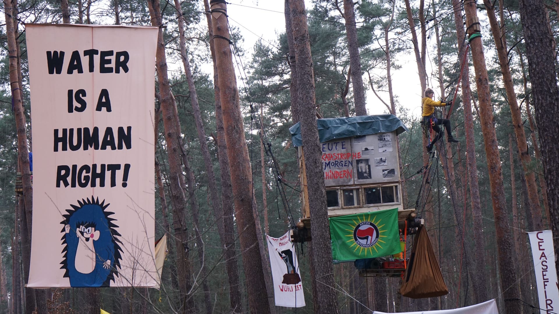 Waldbesetzung in Grünheide: Die Klimaaktivisten protestieren hier gegen den geplanten Ausbau der Teslafabrik.