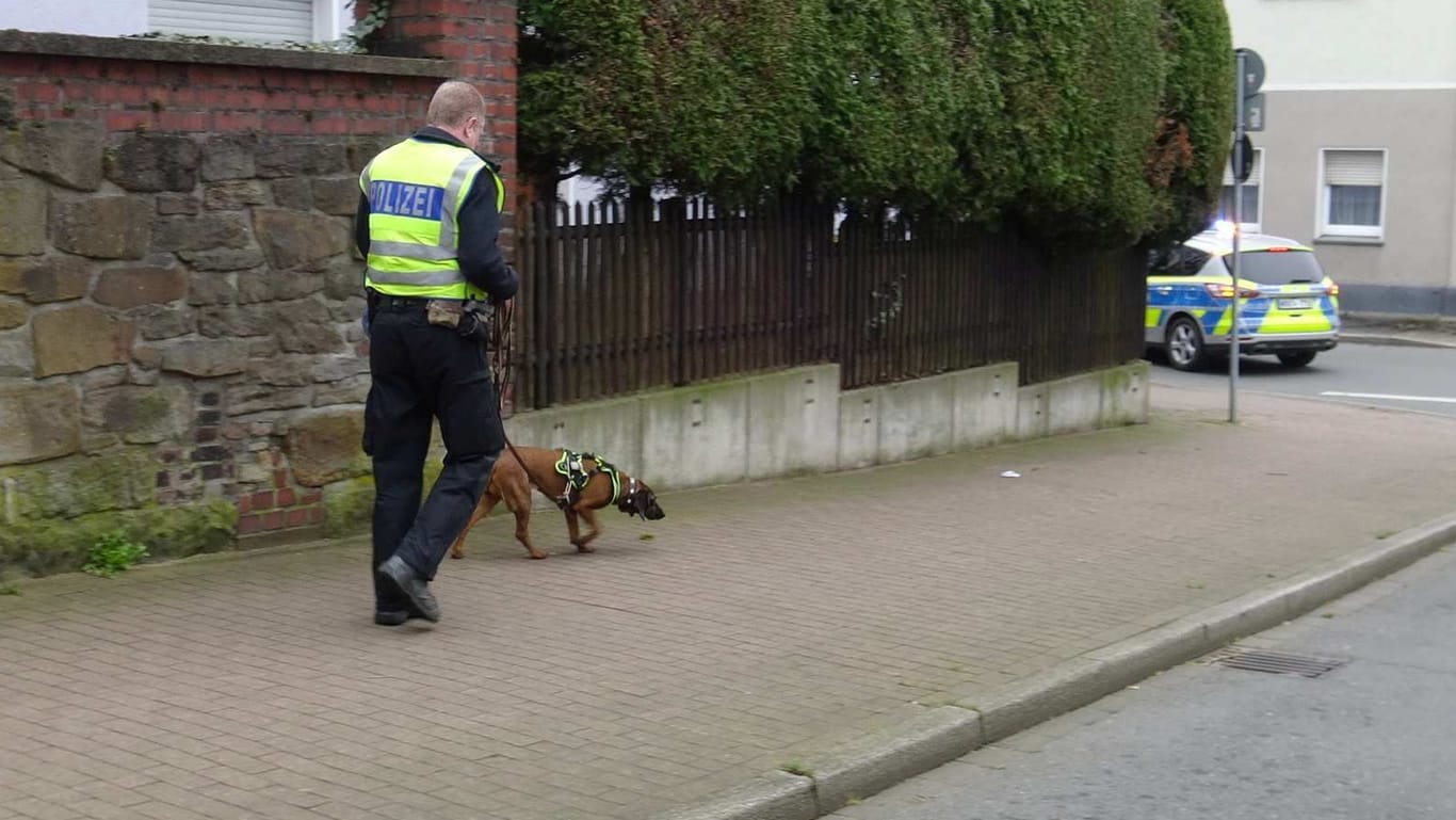 Spürhund im Einsatz: Die Polizei suchte am Montag in Bochum Langendreer nach dem vermissten Neunjährigen.