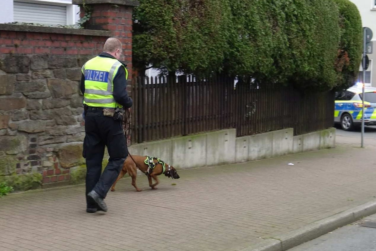 Spürhund im Einsatz: Die Polizei suchte am Montag in Bochum Langendreer nach dem vermissten Neunjährigen.