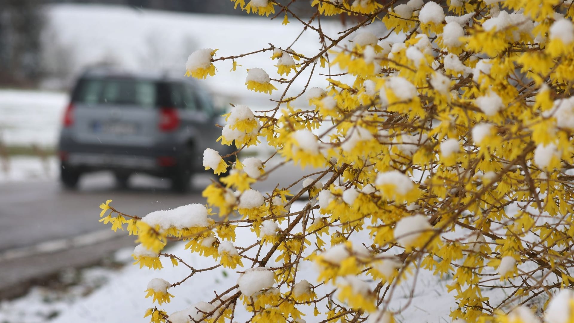 Neuschnee in Bayern Neuschnee in Bayern