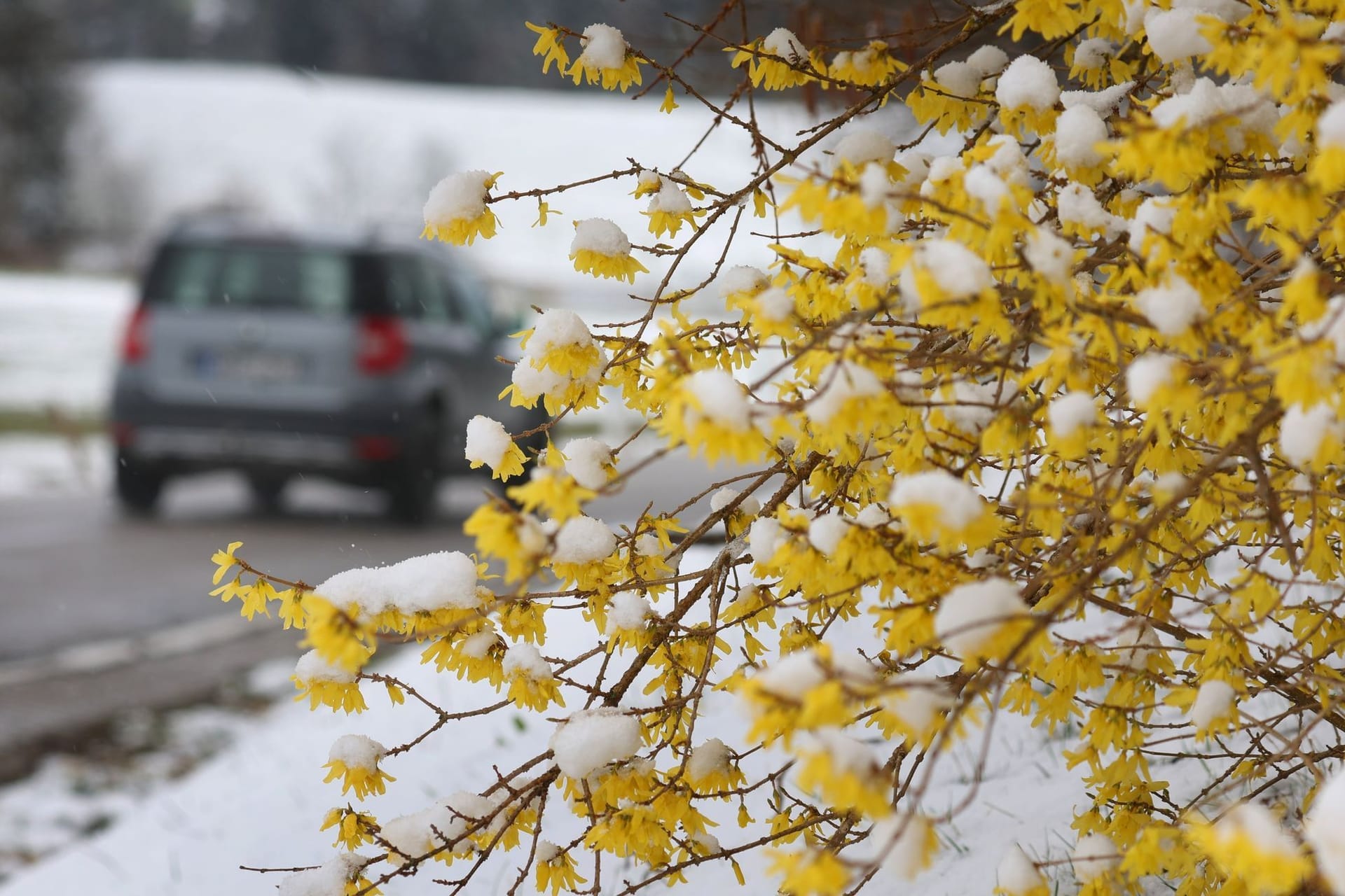 Neuschnee in Bayern