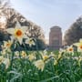 Hamburg: Die schönsten Grünflächen und Parks  |  Geheimtipps im Frühling