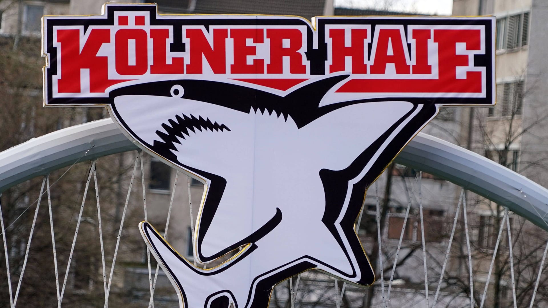 Das Logo der Kölner Haie an der Lanxessarena: Der Verein hat einen neuen Rekord aufgestellt. Das Logo der Kölner Haie an der Lanxessarena: Der Verein hat einen neuen Rekord aufgestellt.
