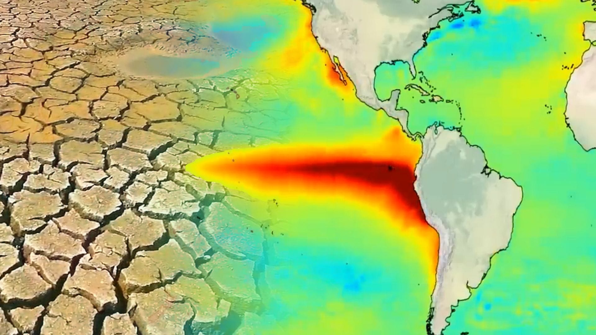 Temperaturveränderungen im Pazifischen Ozean: Meteorologin Michaela Koschak erklärt, welche Folgen das für Deutschland hat.