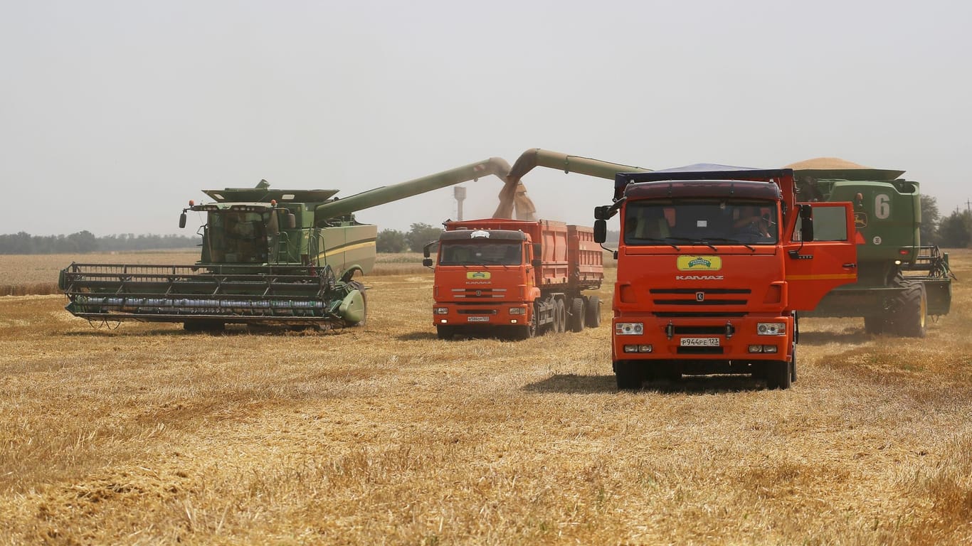 Getreideernte in Russland