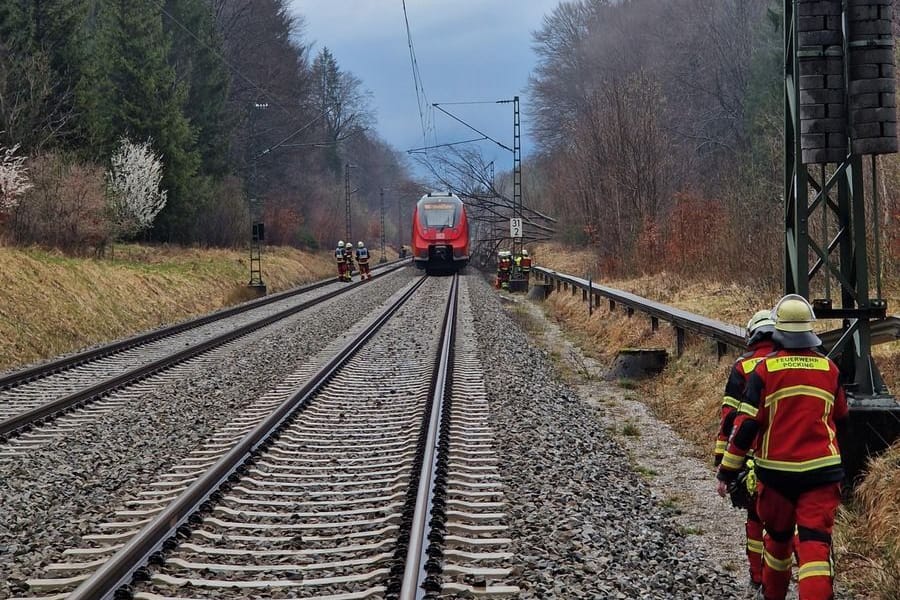 Auf offener Strecke ist ein Regionalzug mit einem fallenden Baum kollidiert.