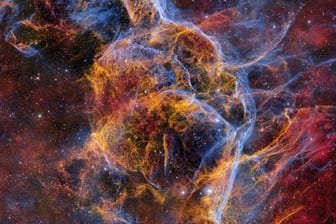 Ghostly Stellar Tendrils of the Vela Supernova Remnant