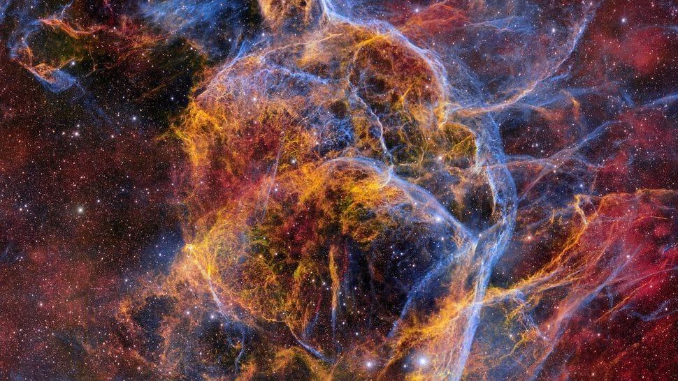 Ghostly Stellar Tendrils of the Vela Supernova Remnant