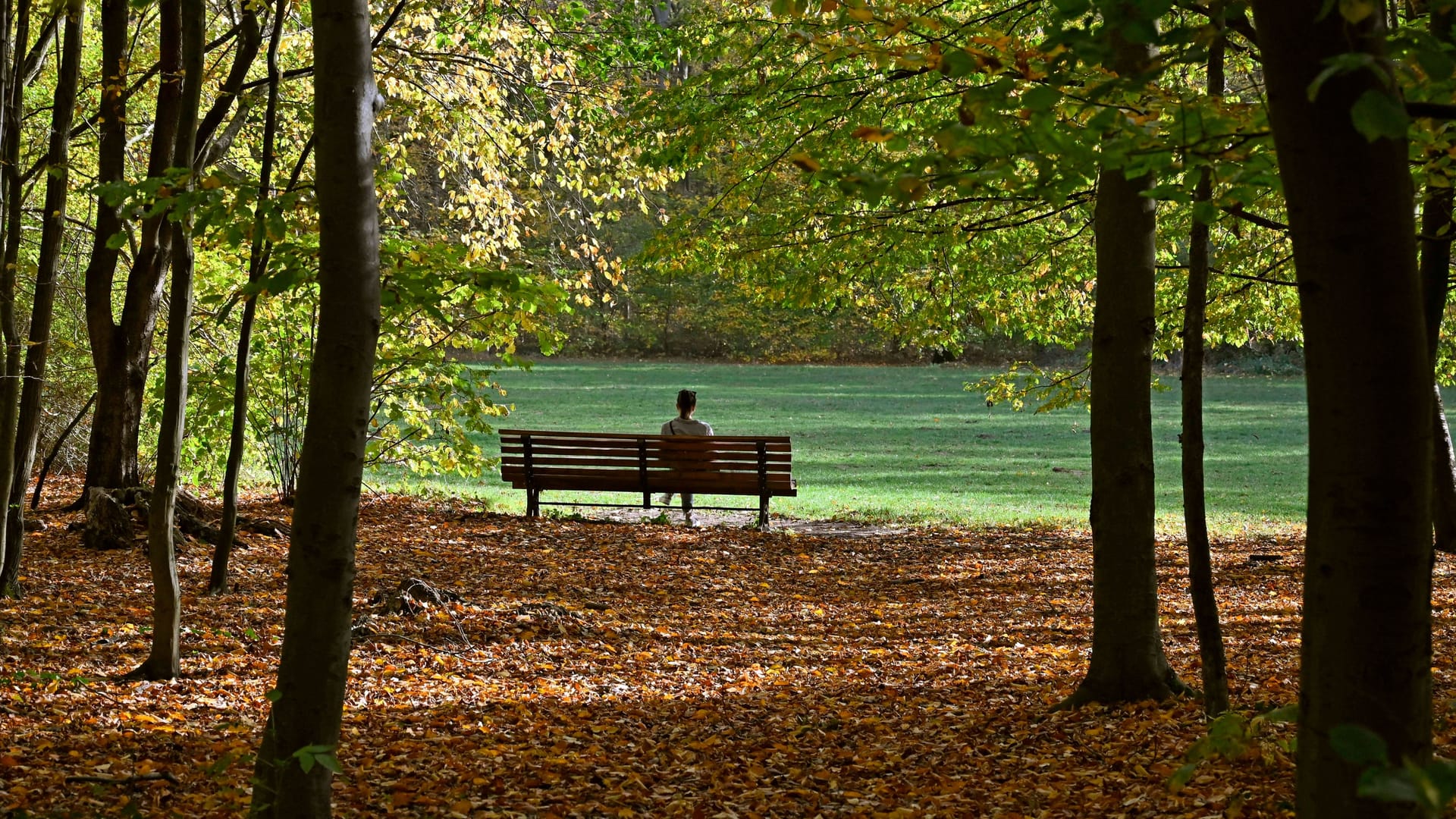 Die Eilenriede in Hannover ist der größte Stadtwald Europas.