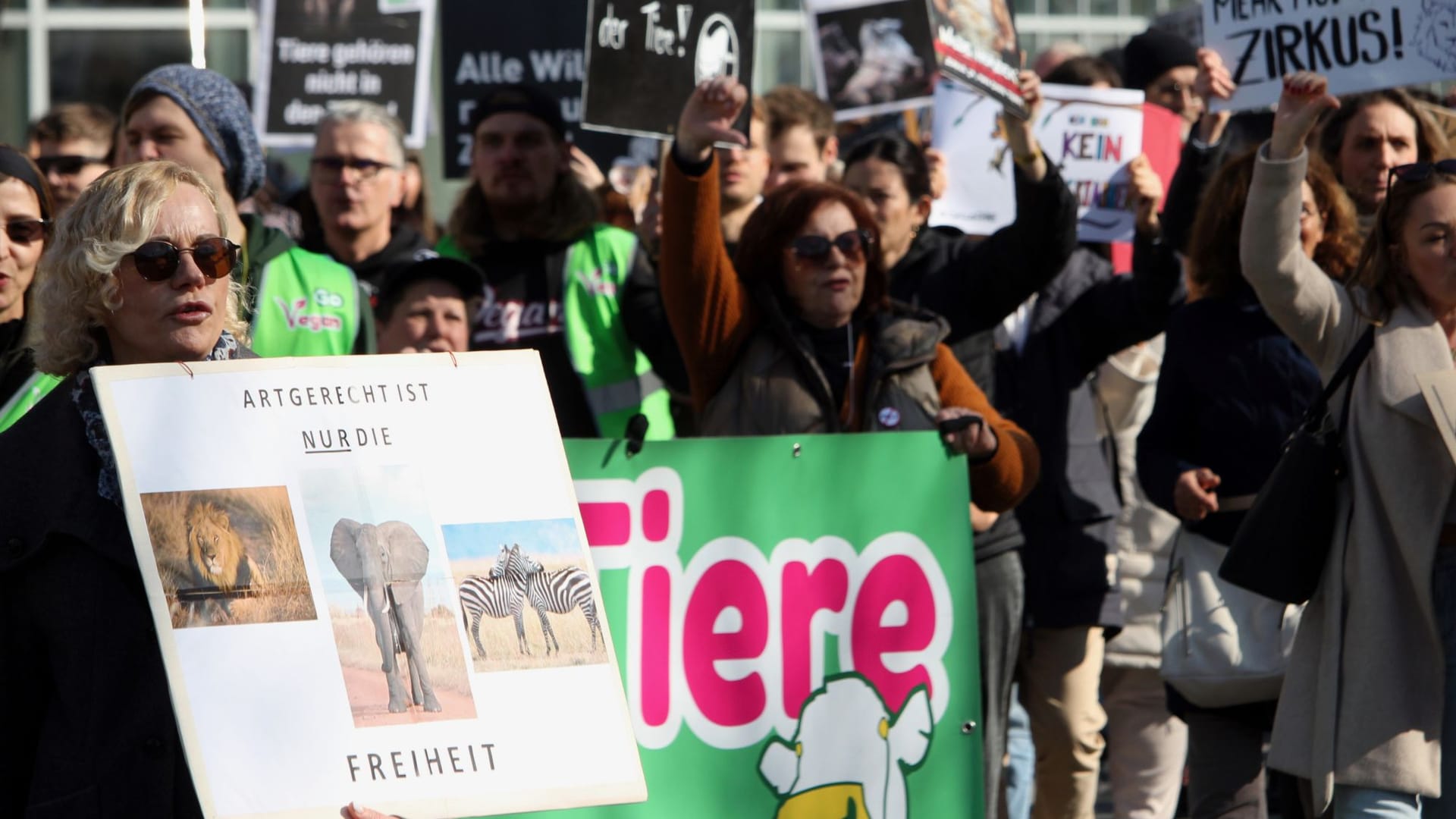 Unter dem Motto „Tiere raus aus dem Zirkus“ haben mehrere hundert Menschen am Samstag vor dem Circus Krone in München demonstriert. Demweltgrößten Zirkus werfen sie vor, Wildtiere zu Unterhaltungszweckenauszubeuten. Dagegen betont Circus-Krone-Dompteur Martin Lacey:„Unseren Tieren geht es sehr gut.“