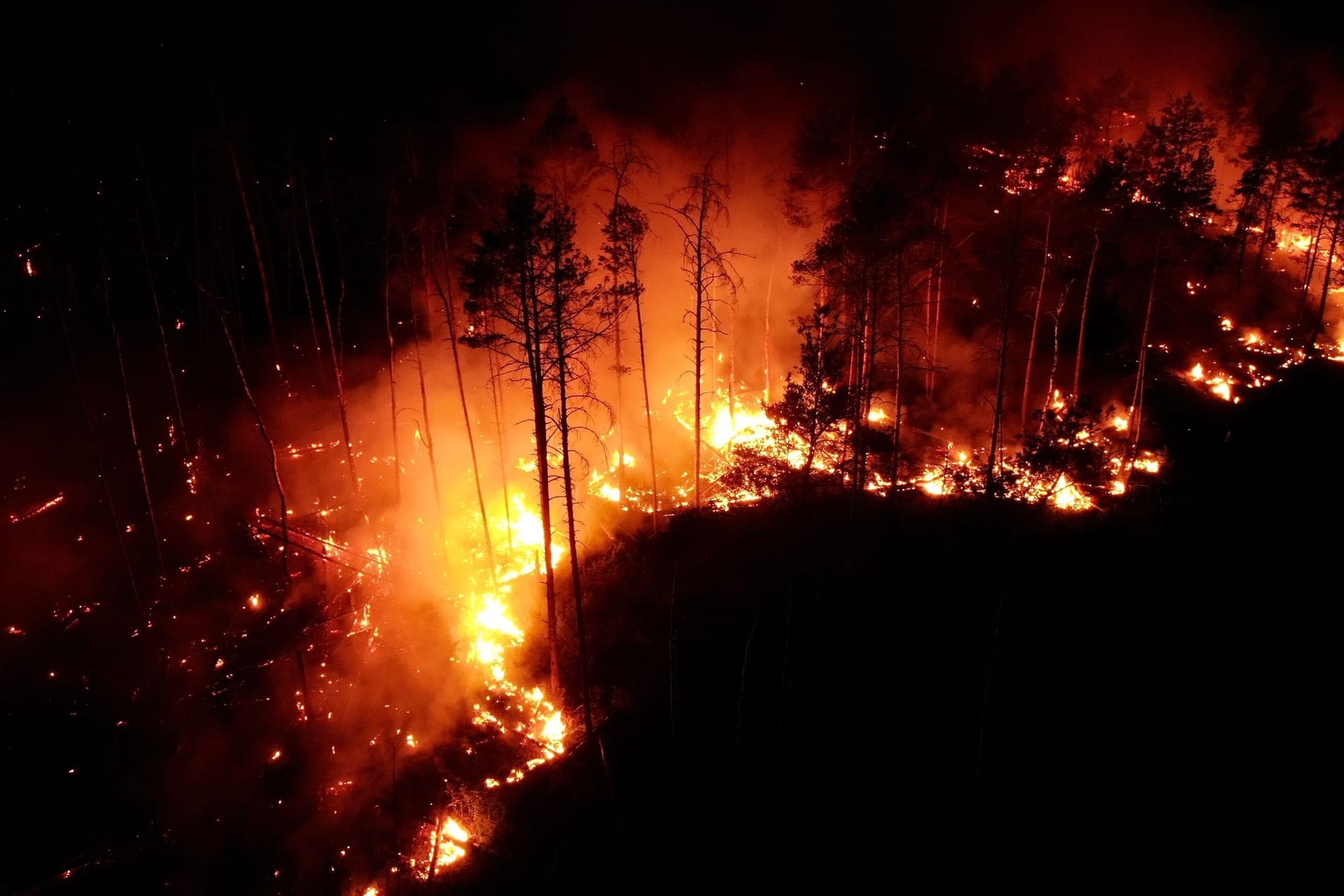 Waldbrand