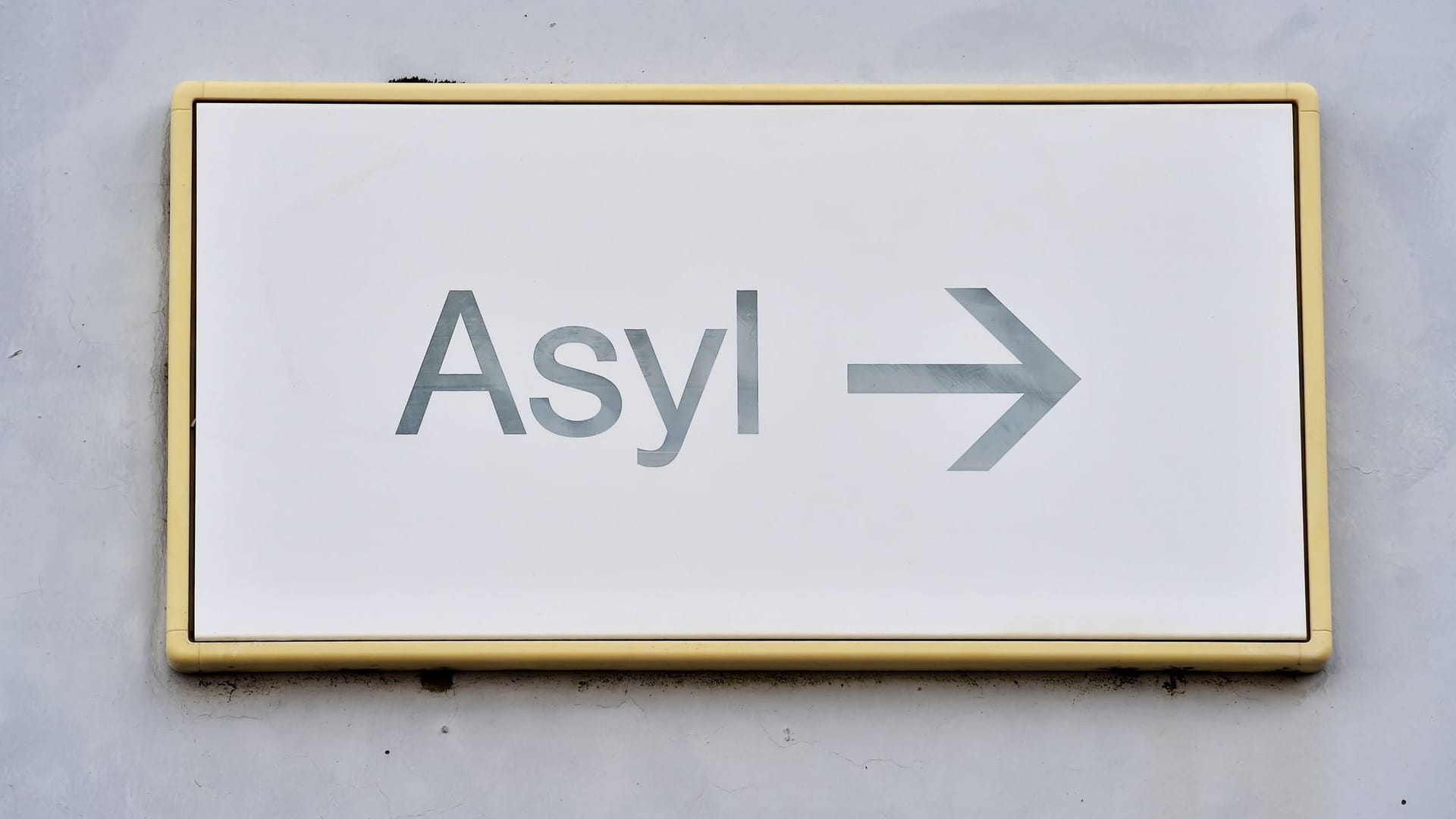 «Asyl» «Asyl»