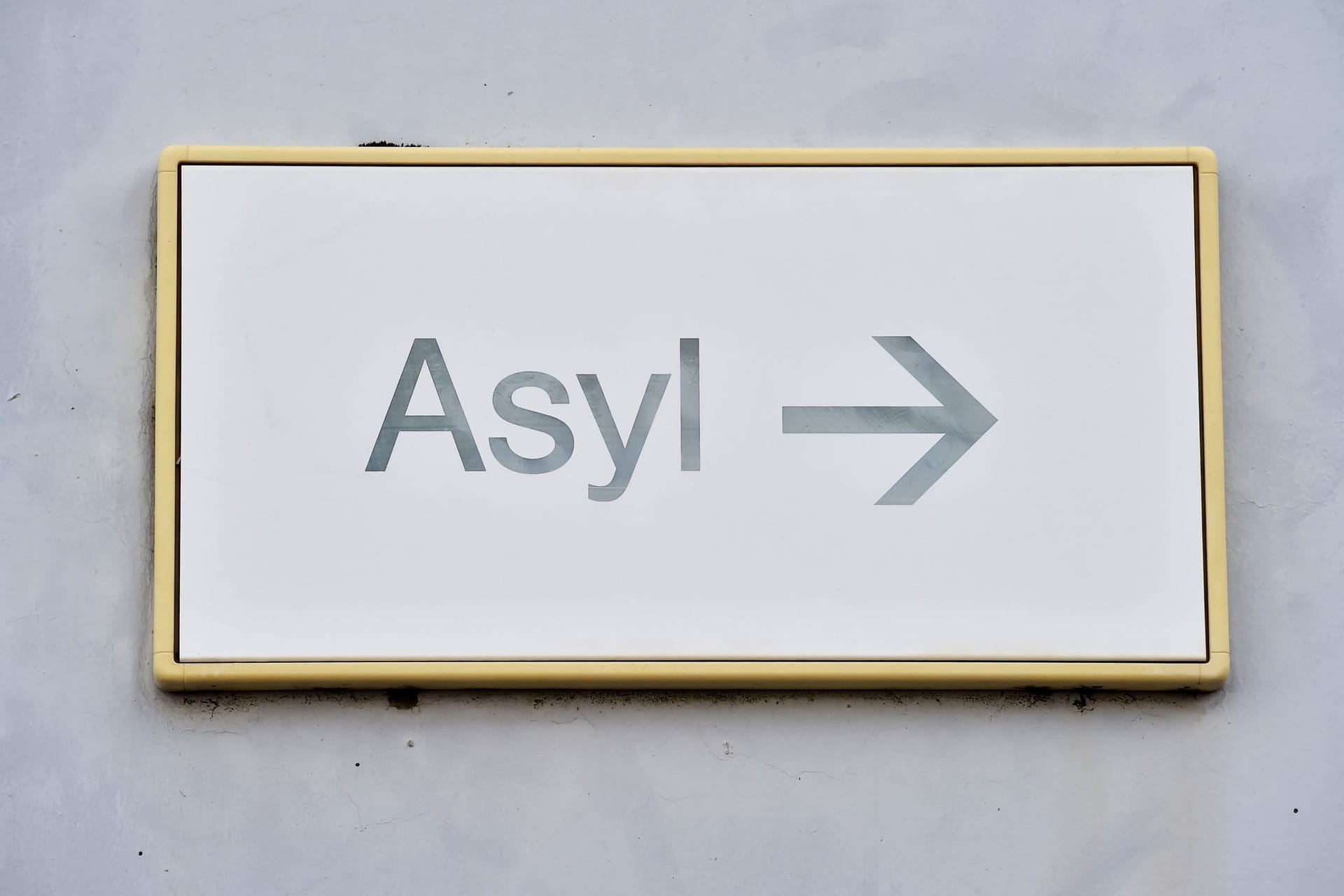«Asyl»