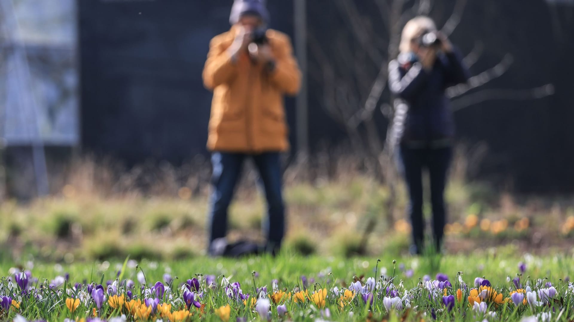 Frühlingswetter in Köln