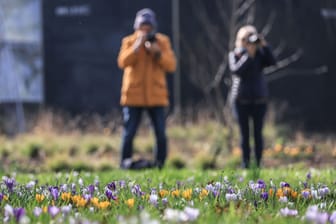 Frühlingswetter in Köln