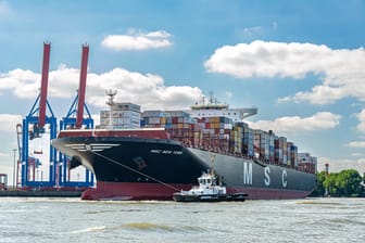 Containerschiff von MSC fährt ins HHLA-Terminal Tollerort (Symbolbild): Der Containerumschlag im Hamburger Hafen hat ein historisches Tief erreicht.