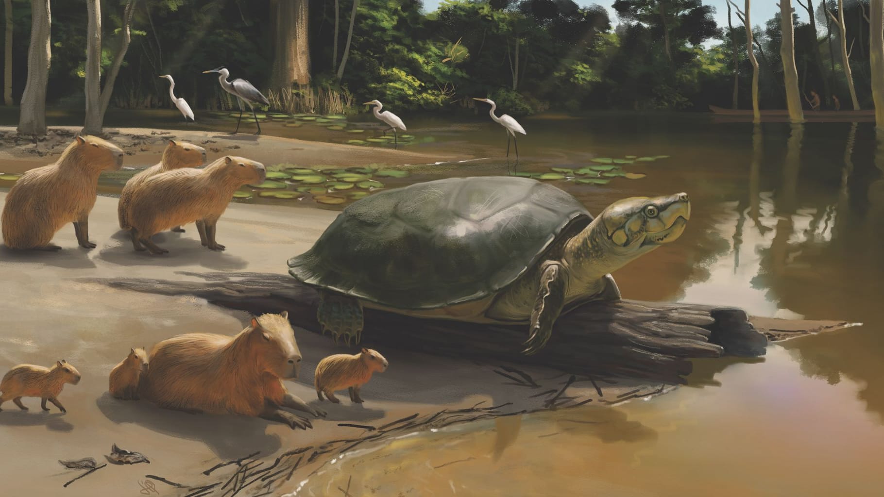 Eine computergenerierte Visualisierung der neu entdeckten Riesenschildkröte Peltocephalus maturin: In Brasilien wurden Überreste der Tiere entdeckt.