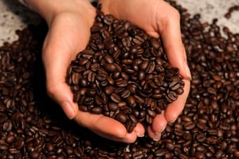 Kaffeebohnen von Der-Franz und Melitta sind jetzt bei Amazon im Angebot. Schnappen Sie sich Ihre Lieblingssorte zu reduzierten Preisen!