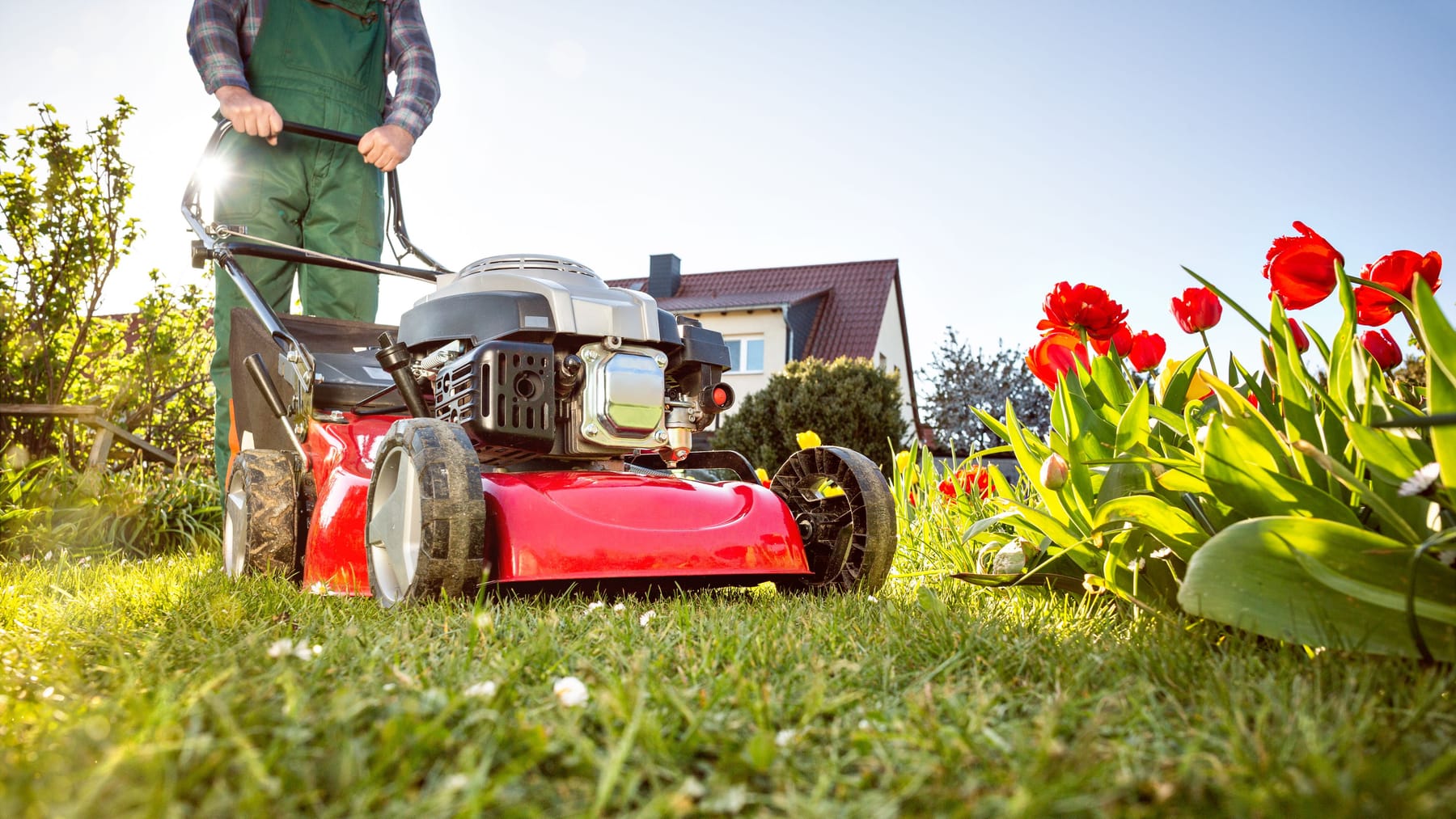 57+ Rasenmähen Am 1 Mai, Doch während wir uns in der arbeit
