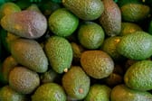 Avocado-Boom in Deutschland – Import mehr als verfünffacht
