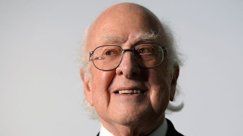 Er entdeckt das Higgs-Teilchen, das die Masse im Universum erklärt: Nobelpreisträger Peter Higgs.